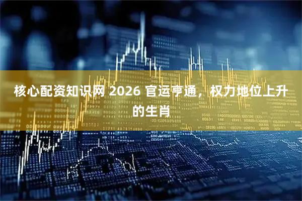 核心配资知识网 2026 官运亨通，权力地位上升的生肖